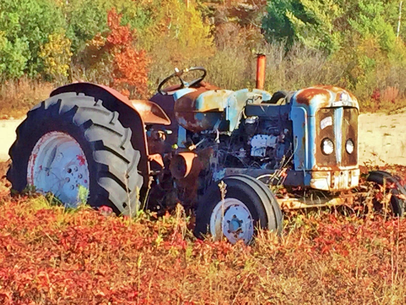 Old tractor abandoned in field